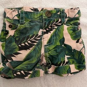 Freshly Picked Palm Leaf Pink & Green Shorts Size 12 Months